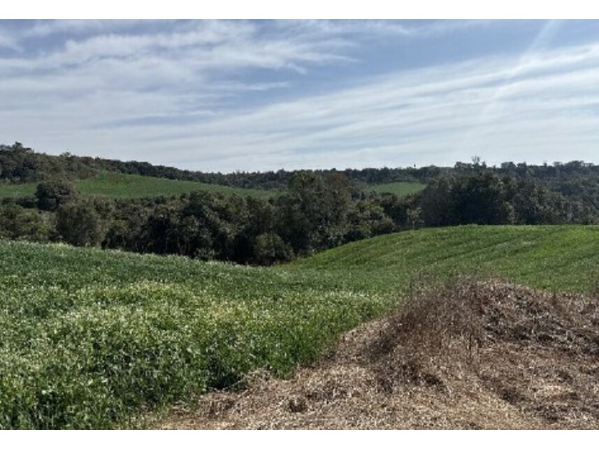 Imagem 9 do Leilão de Área Rural - Zona Rural - Turvo/PR
