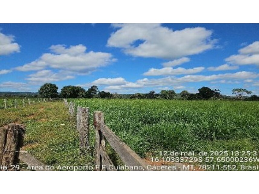 Imagem 6 do Leilão de Área Rural - Área Rural - Cáceres/MT