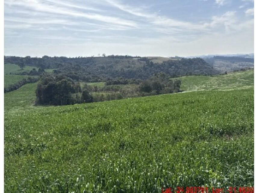 Imagem 7 do Leilão de Área Rural - Zona Rural - Turvo/PR