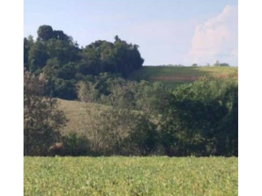 Imagem 14 do Leilão de Área Rural - Zona Rural - Itaporanga/SP