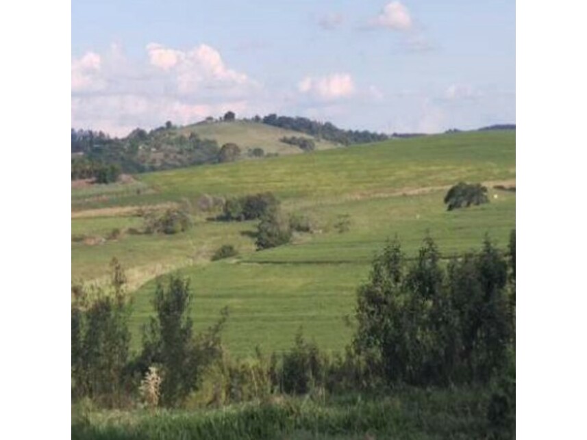 Imagem 12 do Leilão de Área Rural - Zona Rural - Itaporanga/SP