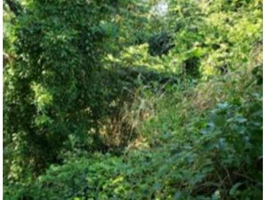 Imagem 2 do Leilão de Terreno - Paralela - Salvador/BA