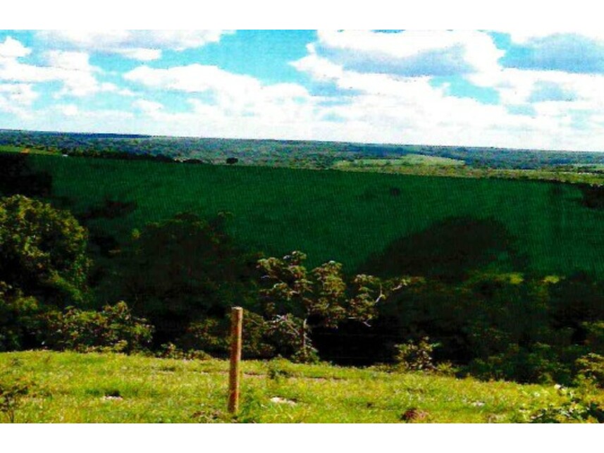 Imagem 8 do Leilão de Fazenda - Zona Rural - Mineiros/GO