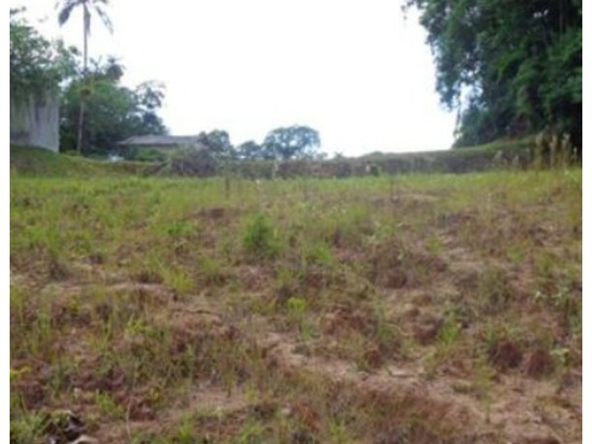 Imagem 1 do Leilão de Terreno - América - Joinville/SC