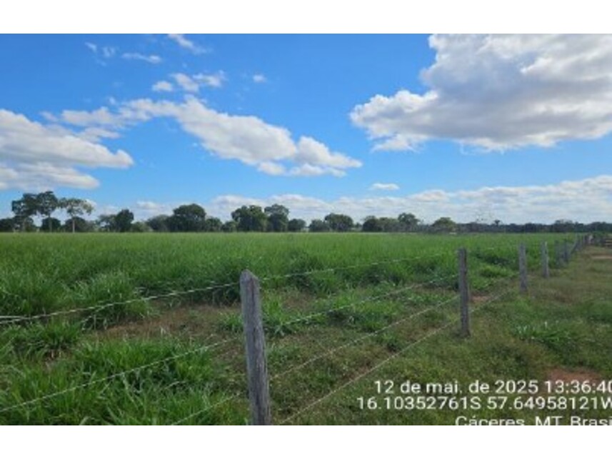 Imagem 5 do Leilão de Área Rural - Área Rural - Cáceres/MT
