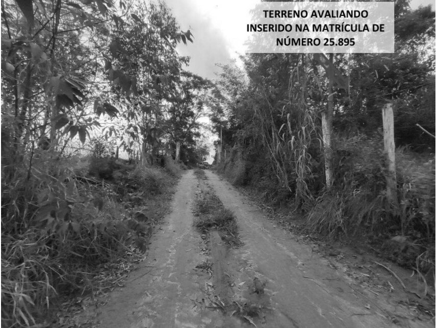 Imagem 2 do Leilão de Terreno - Zona Rural - Biritiba Mirim/SP