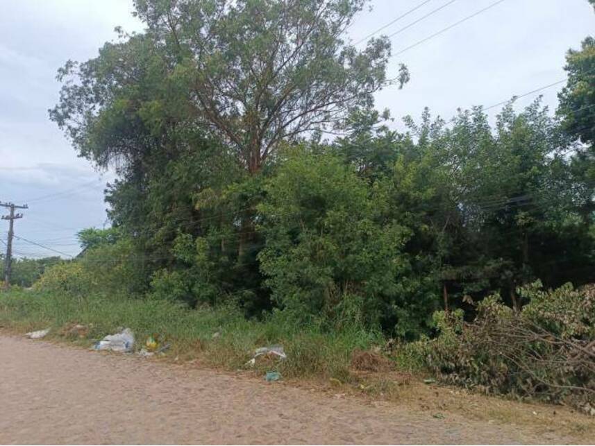 Imagem 2 do Leilão de Terreno - São Lucas - Viamão/RS