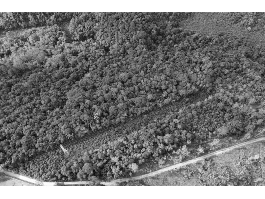 Imagem 5 do Leilão de Terreno - Zona Rural - Biritiba Mirim/SP