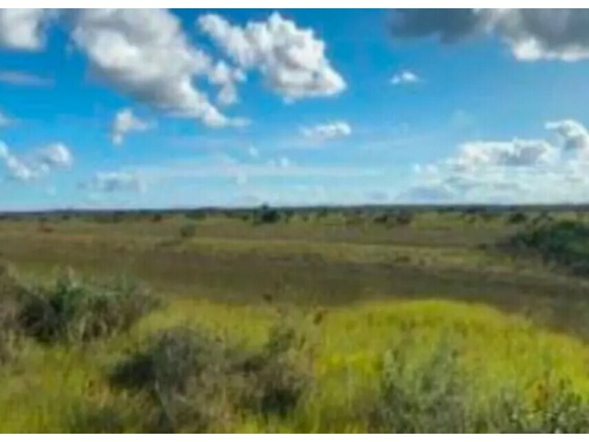 Imagem 1 do Leilão de Terreno - Belmonte - Belmonte/BA
