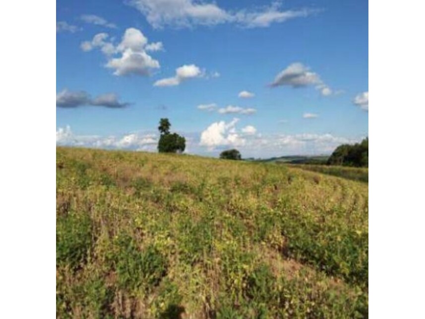 Imagem 3 do Leilão de Área Rural - Zona Rural - Itaporanga/SP