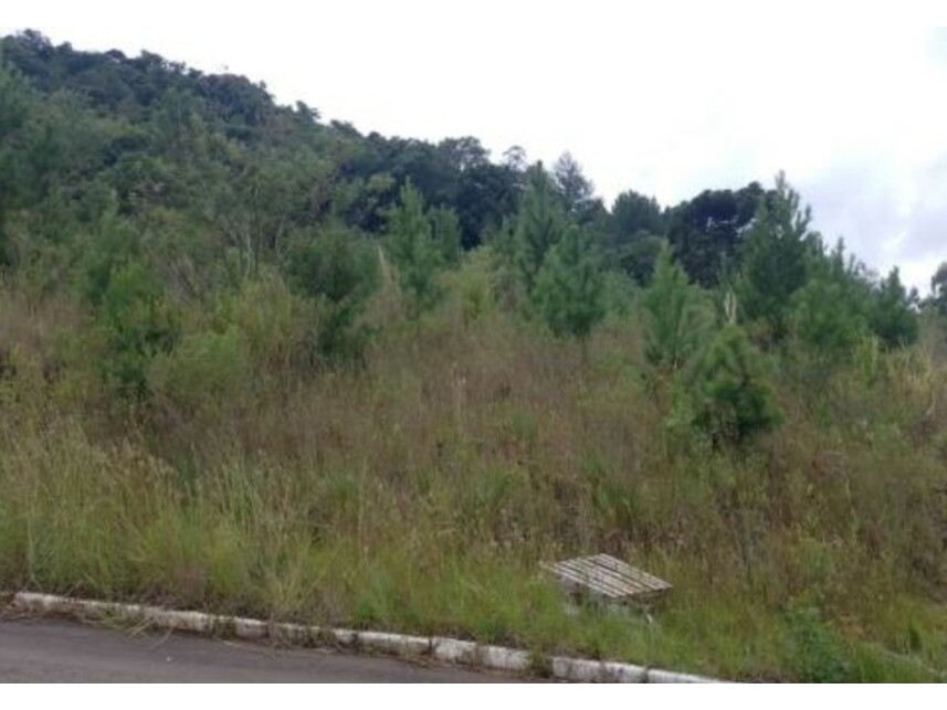 Imagem 1 do Leilão de Terreno - Linha Brasil - Nova Petrópolis/RS