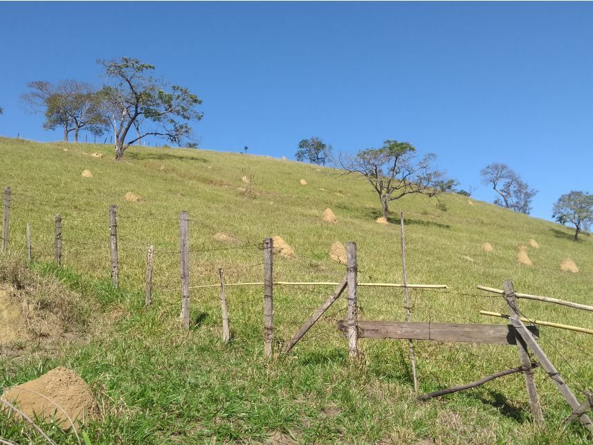 Gleba de Terras à venda em leilão