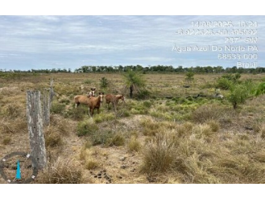 Imagem 17 do Leilão de Fazenda - Zona Rural - Água Azul do Norte/PA