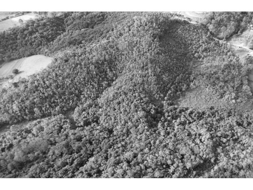 Imagem 4 do Leilão de Terreno - Zona Rural - Biritiba Mirim/SP
