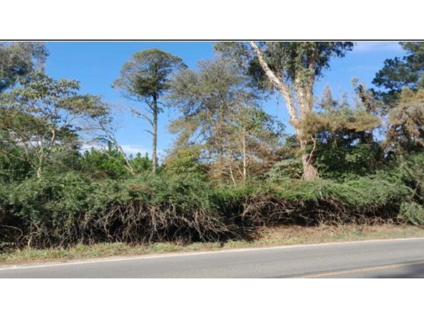 Imagem  do Leilão de Terreno - Dona Mercedes - União da Vitória/PR