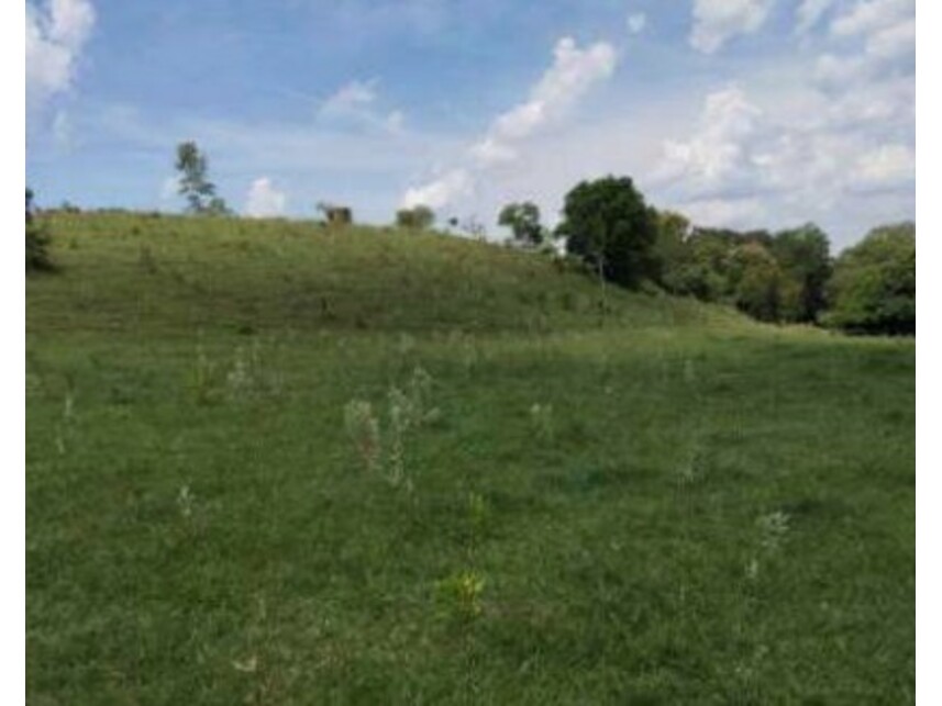 Imagem 6 do Leilão de Área Rural - Zona Rural - Itaporanga/SP