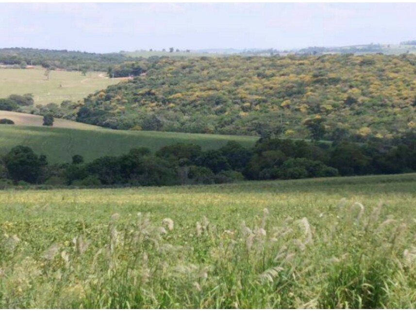 Imagem 7 do Leilão de Área Rural - Zona Rural - Itaporanga/SP