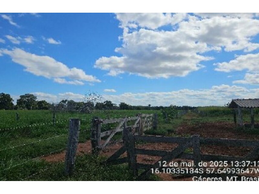 Imagem 9 do Leilão de Área Rural - Área Rural - Cáceres/MT