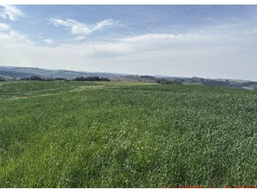Imagem 1 do Leilão de Área Rural - Zona Rural - Turvo/PR