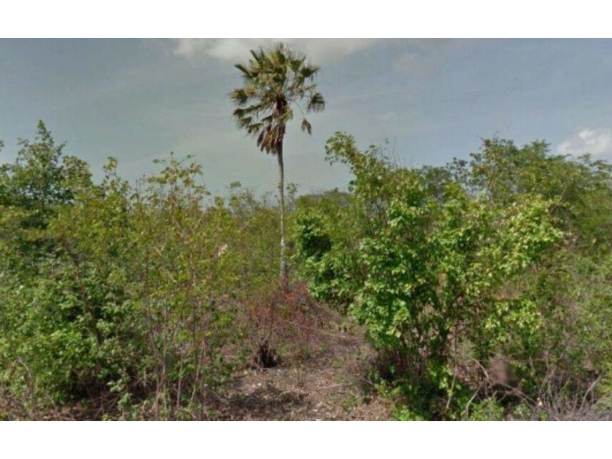 Imagem 1 do Leilão de Área Rural - Serra Coité - Caucaia/CE
