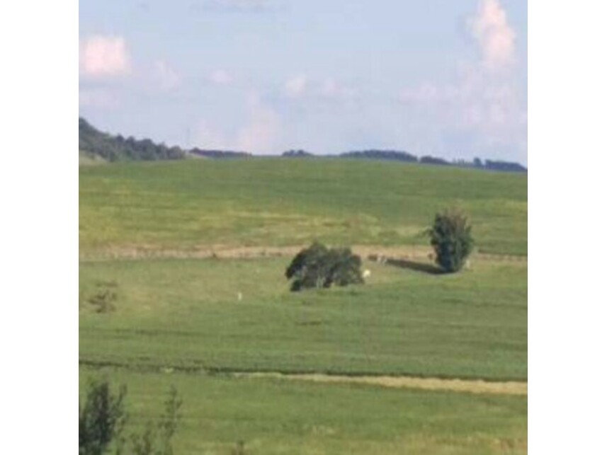 Imagem 7 do Leilão de Área Rural - Zona Rural - Itaporanga/SP