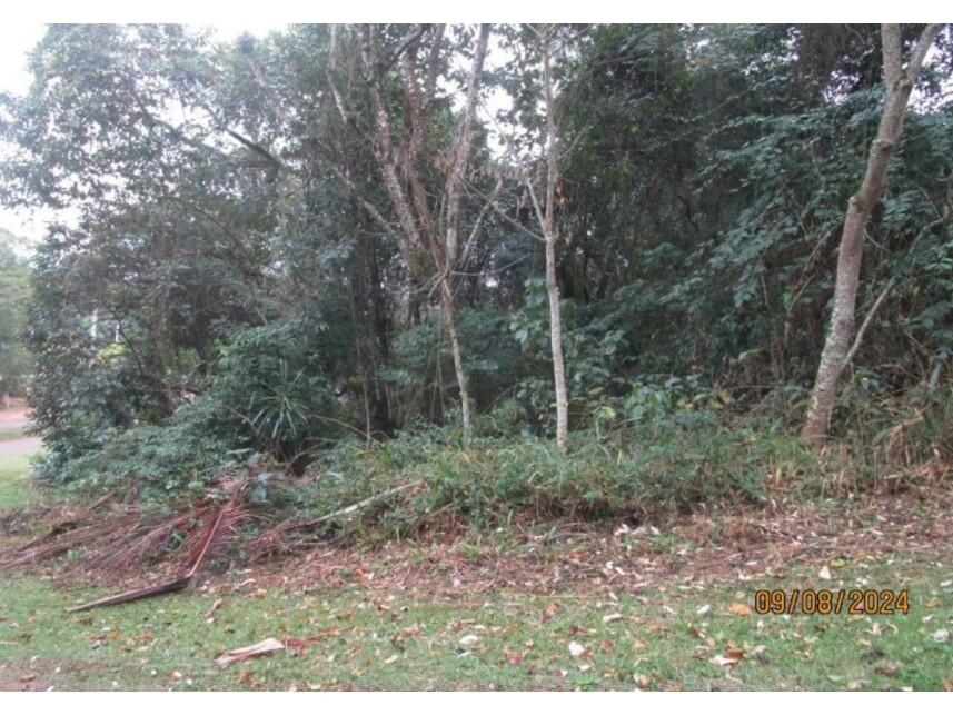 Imagem 6 do Leilão de Terreno - Pau Arcado - Campo Limpo Paulista/SP