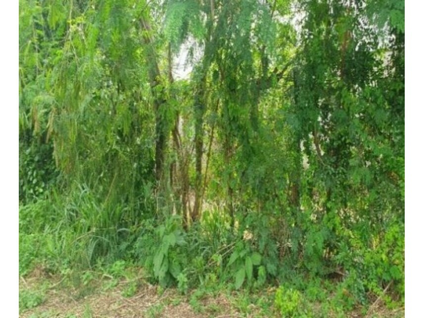 Imagem 7 do Leilão de Terreno - Jardim Palmares I - Saltinho/SP