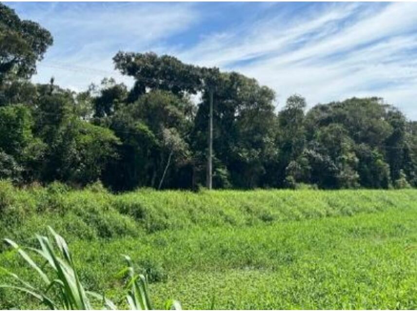Imagem 5 do Leilão de Terreno - Gaivotas - Matinhos/PR