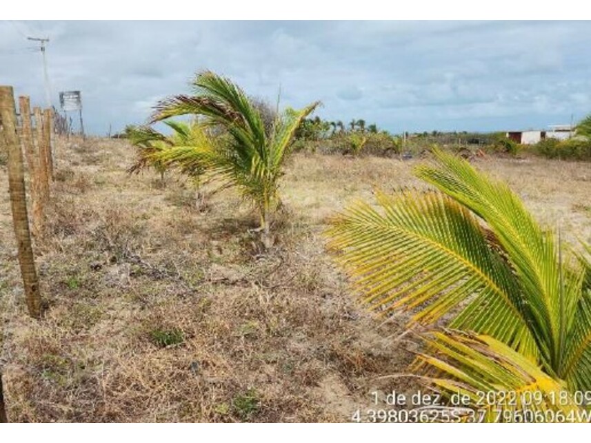 Imagem 6 do Leilão de Terreno - Loteamento Planalto Maceió - Fortim/CE
