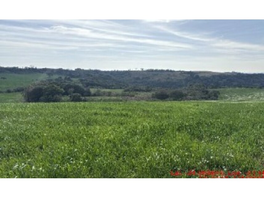 Imagem  do Leilão de Área Rural - Zona Rural - Turvo/PR