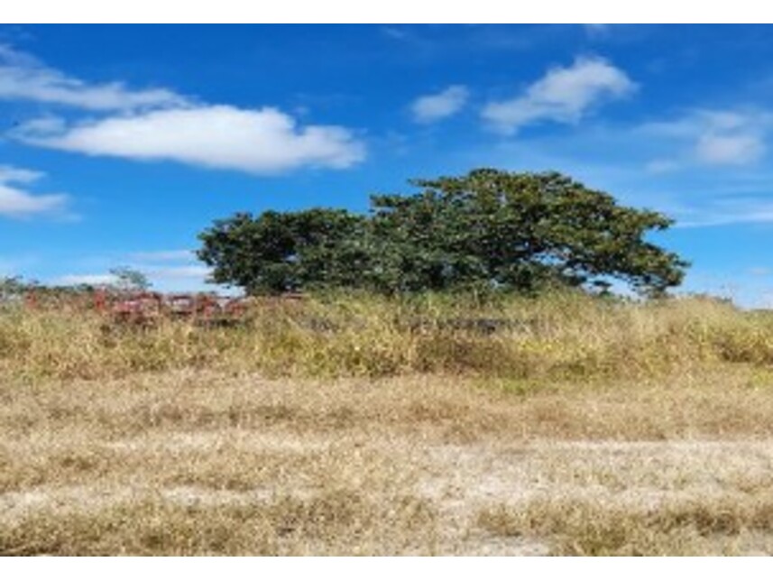 Imagem 3 do Leilão de Área Rural - Zona Rural - Balsas/MA