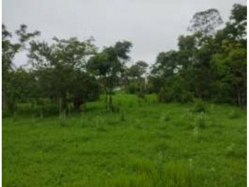 Imagem 3 do Leilão de Terrenos - Chácaras Saia Velha - Cidade Ocidental/GO