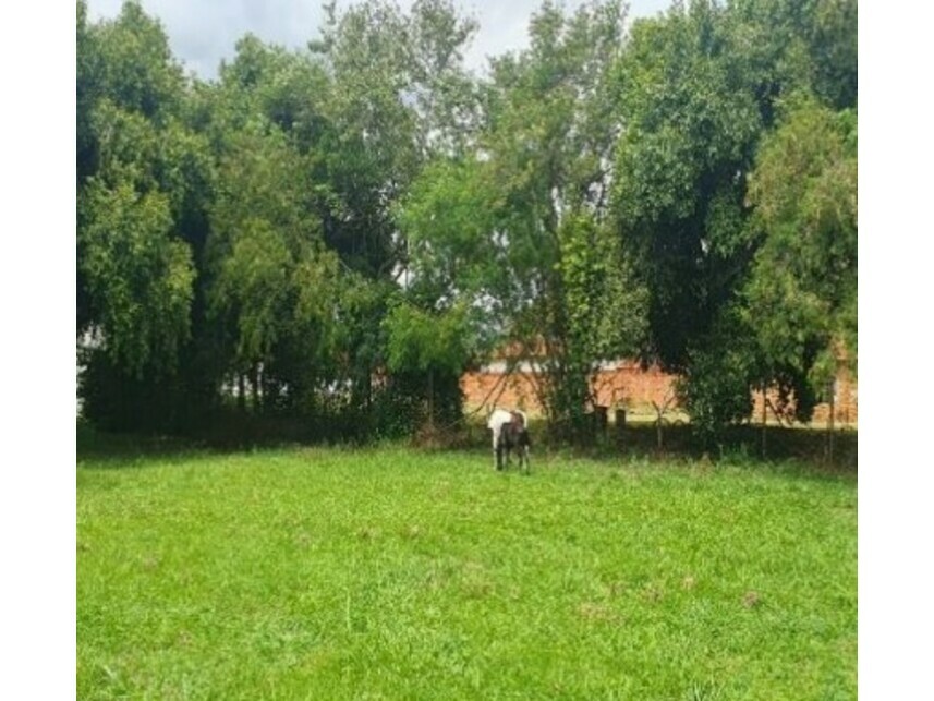 Imagem 10 do Leilão de Terreno - Jardim Palmares I - Saltinho/SP