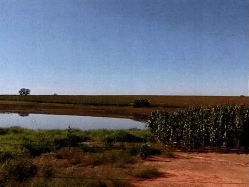 Imagem 8 do Leilão de Área Rural - Zona Rural - Itararé/SP
