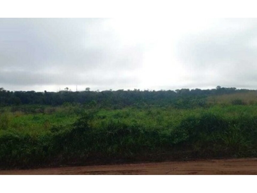 Imagem 3 do Leilão de Terreno - Monte Alegre - Mocajuba/PA