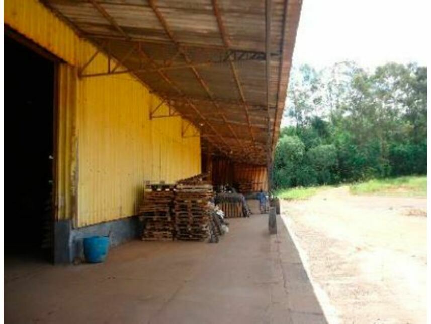 Imagem 5 do Leilão de Galpão Industrial - Trevo Rodoviário - Santo Anastácio/SP