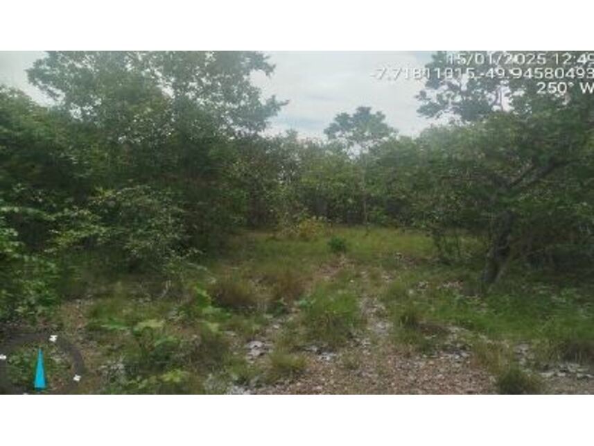 Imagem 2 do Leilão de Área Rural - Zona Rural - Pau D'arco/PA