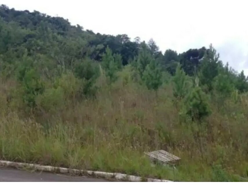 Imagem 1 do Leilão de Terreno - Linha Brasil - Nova Petrópolis/RS