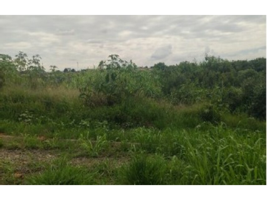 Imagem  do Leilão de Terreno - Jardim Fogaça - Itapetininga/SP