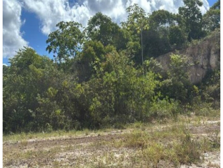 Imagem  do Leilão de Terreno - Distrito Industrial - Candeias/BA