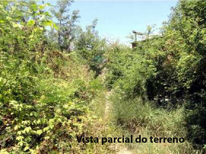Imagem 7 do Leilão de Terreno - Santo Amaro - Recife/PE