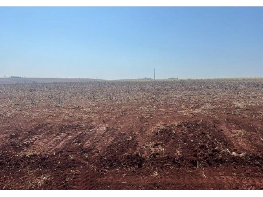 Imagem 5 do Leilão de Sítio - Centro - Formosa do Oeste/PR