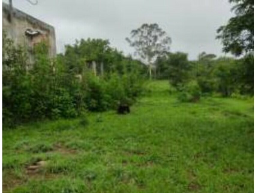 Imagem 6 do Leilão de Terrenos - Chácaras Saia Velha - Cidade Ocidental/GO