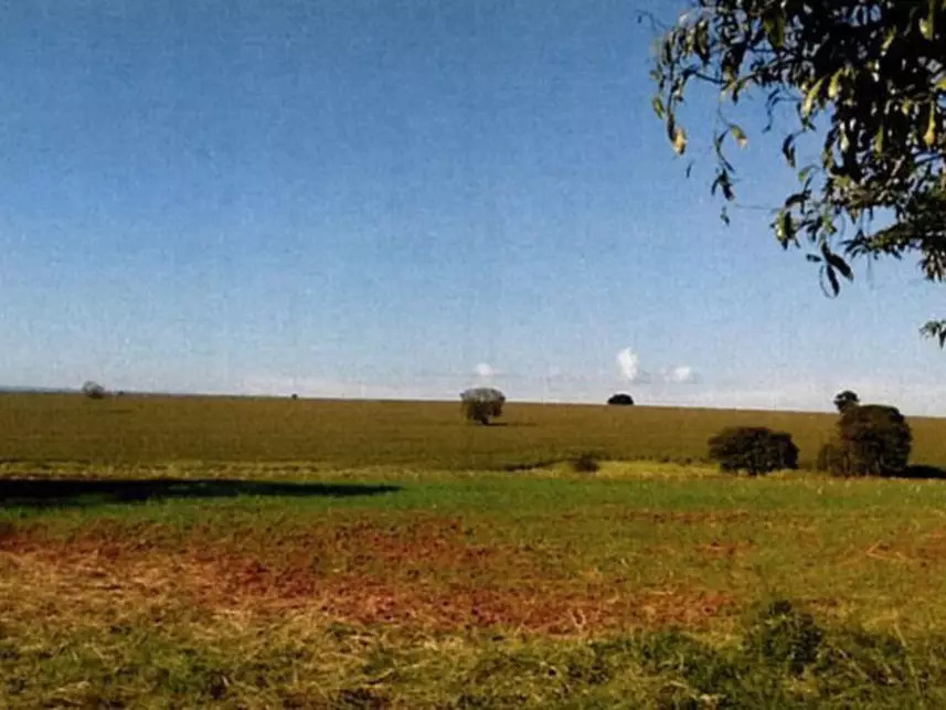 Imagem 5 do Leilão de Área Rural - Zona Rural - Itararé/SP