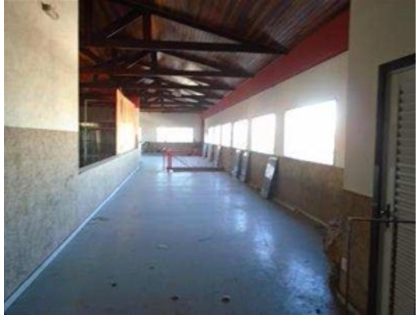 Imagem 8 do Leilão de Prédio Comercial - Jabaquara - São Paulo/SP