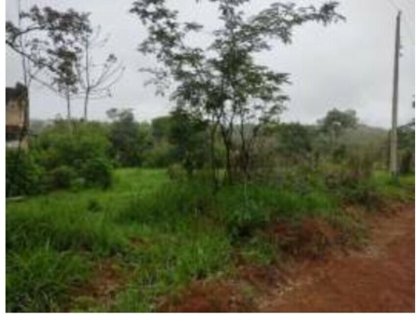 Imagem 8 do Leilão de Terrenos - Chácaras Saia Velha - Cidade Ocidental/GO
