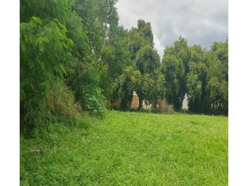 Imagem 6 do Leilão de Terreno - Jardim Palmares I - Saltinho/SP