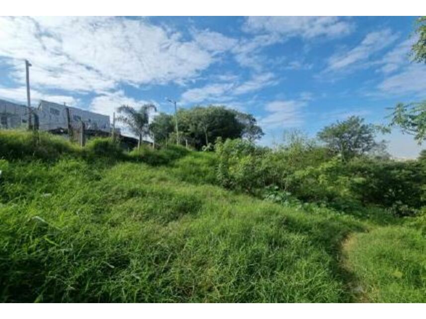 Imagem 3 do Leilão de Terreno - Pirituba - São Paulo/SP