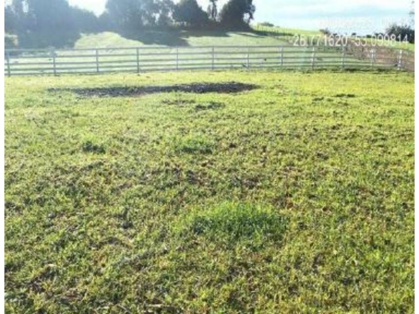 Imagem 5 do Leilão de Área Rural - Zona Rural - Quinze de Novembro/RS