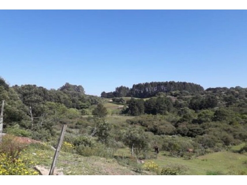 Imagem  do Leilão de Terreno - Serrano - Caxias do Sul/RS